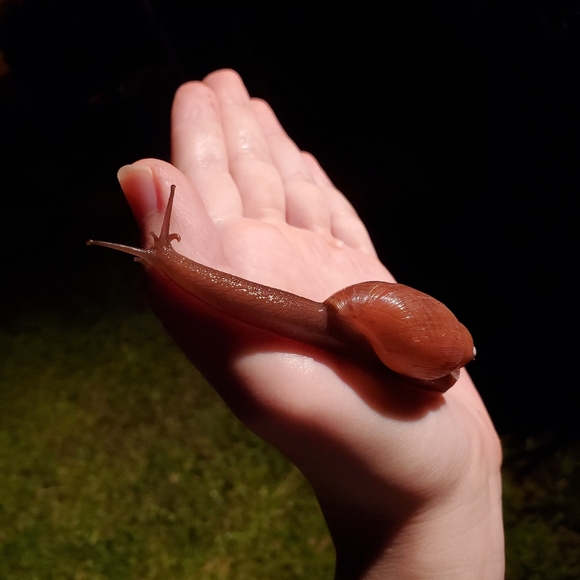 Meet your Posher, Baby Lucifer - Picture 11 of 16